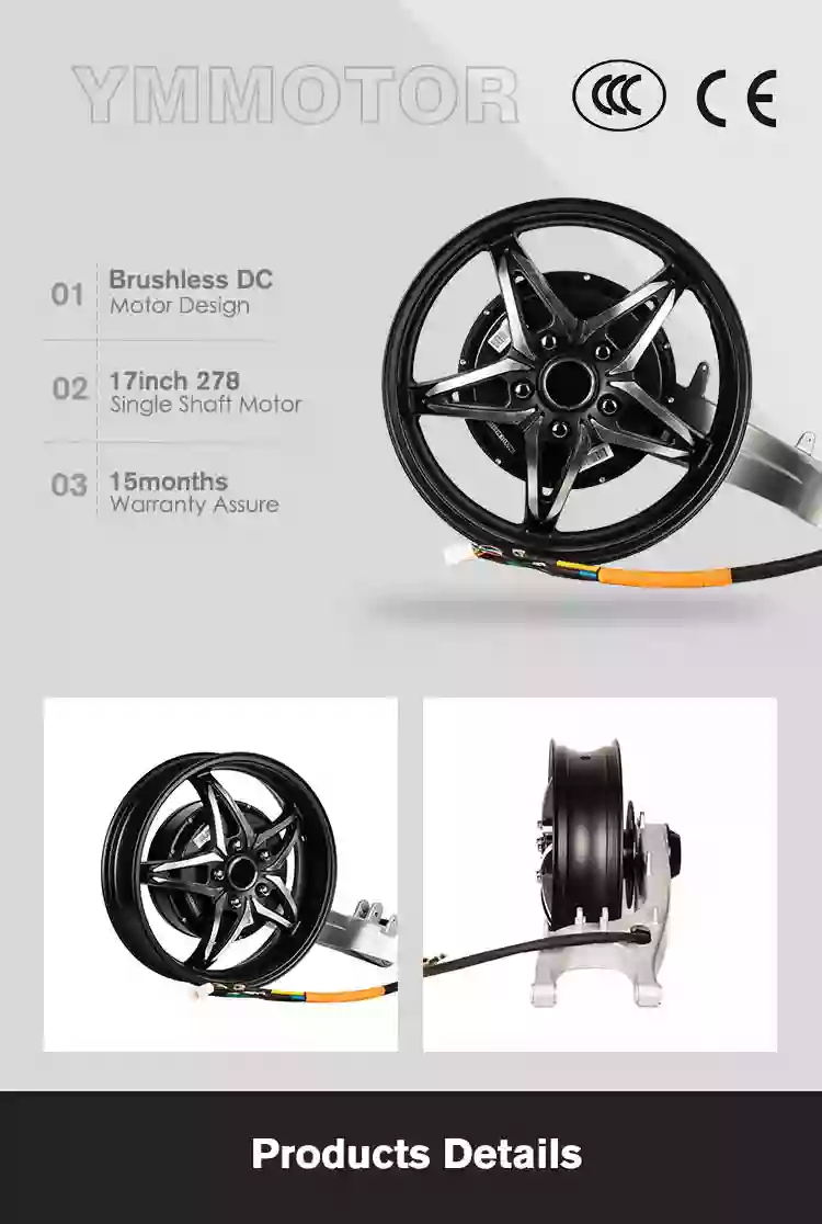 3000W 48V 17 Inch In Wheel Bldc Electric Hub Motor