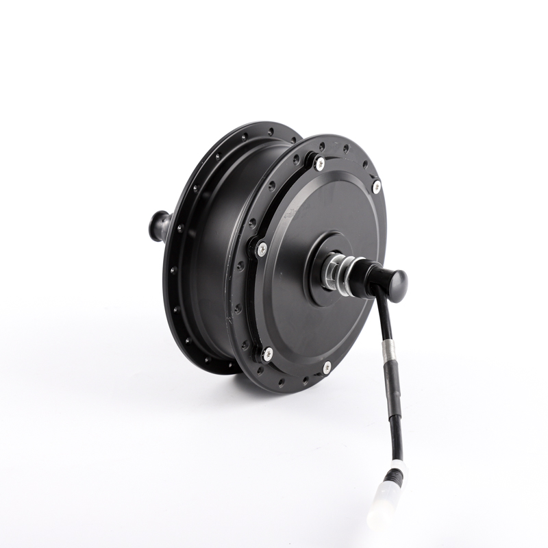 36V 500W 20 inch Geared Hub motor